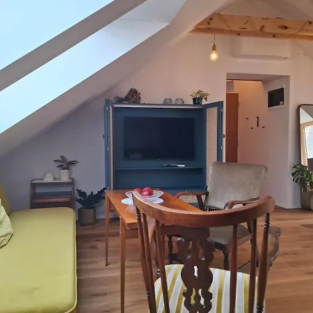 Stylish In The Historic Center Under The Castle Appartement